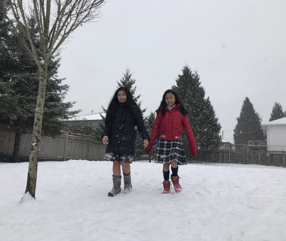 A Snowy Day in February (2018)